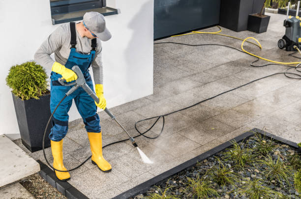 Best Roof Pressure Washing  in Lowry Crossing, TX